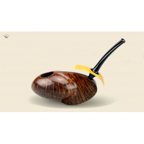 Intergalactic paraglider