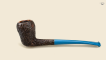 Black Acorn