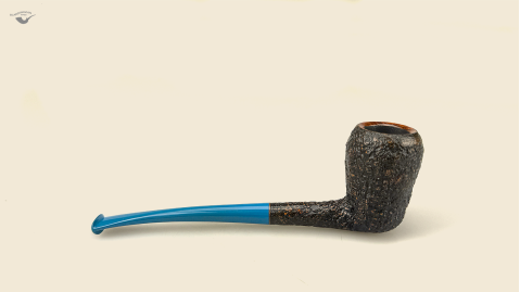 Black Acorn