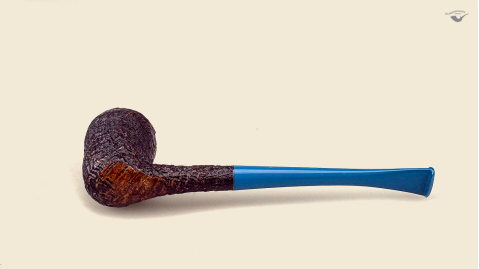 Black Acorn