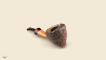 Fig