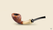 Blowfish with horn