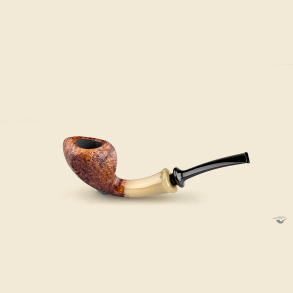 Blowfish with horn