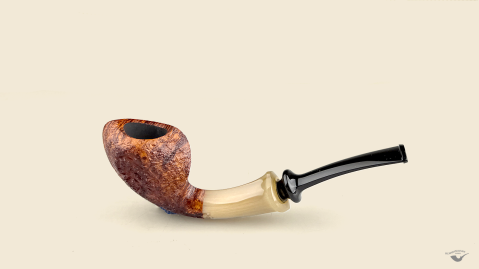 Blowfish with horn