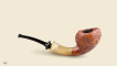 Blowfish with horn