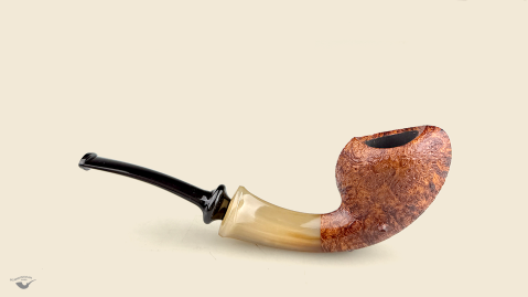 Blowfish with horn