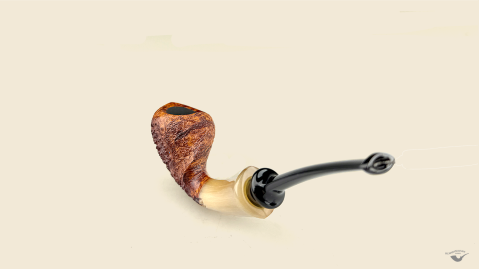 Blowfish with horn