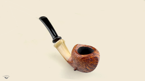 Blowfish with horn