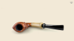 Blowfish with horn