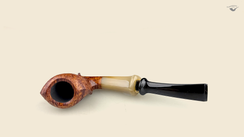 Blowfish with horn