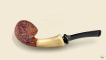 Blowfish with horn