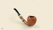 Blowfish with black bamboo