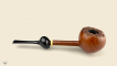 Long Shank Erotique