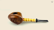 Bamboo Blowfish