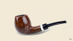Half  Bent Billiard Snail