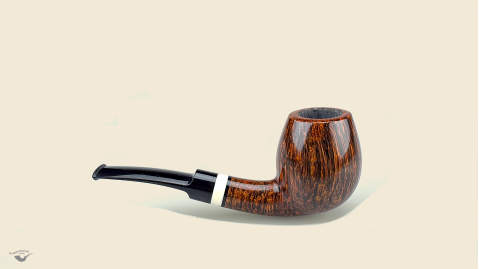 Half  Bent Billiard Snail