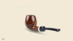Half  Bent Billiard Snail