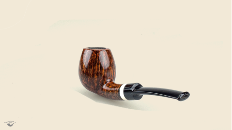 Half  Bent Billiard Snail