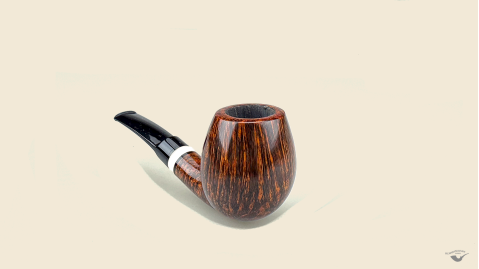 Half  Bent Billiard Snail