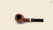 Half  Bent Billiard Snail