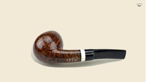 Half  Bent Billiard Snail