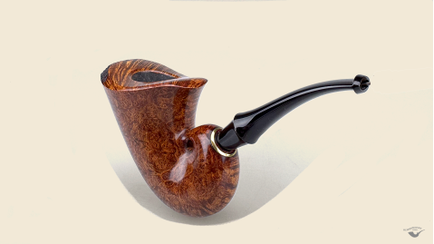 Nautilus