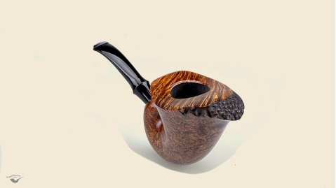 Nautilus