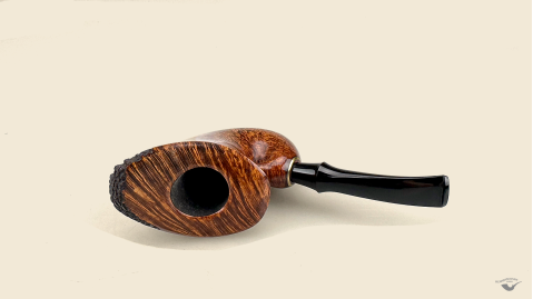 Nautilus