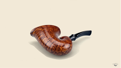 Nautilus